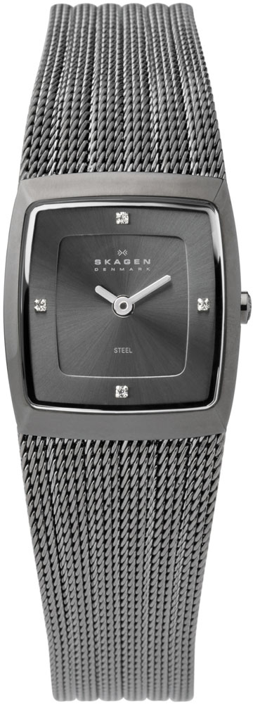 Ladies Skagen Watch 380XSMMM1