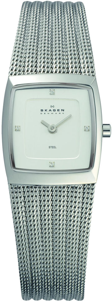 Ladies Skagen Watch 380XSSS1