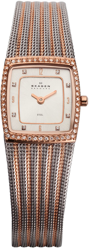 Ladies Skagen Watch 384XSRS