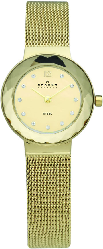 Ladies Skagen Watch 456SGSG