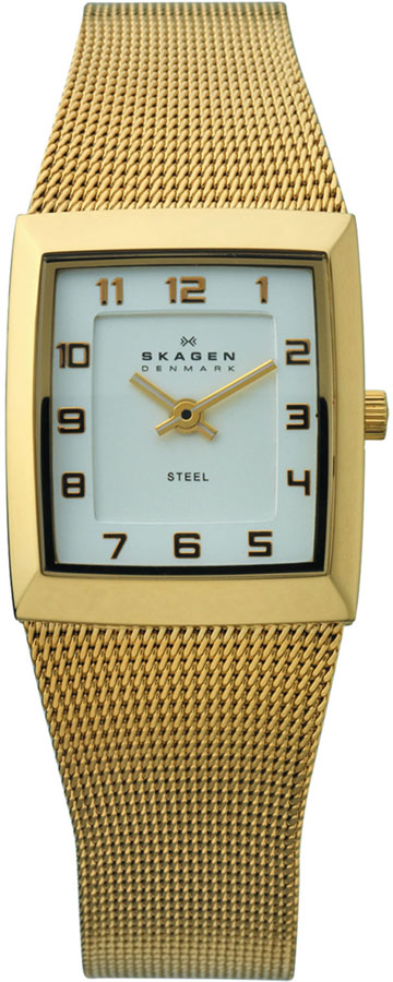 Ladies Skagen Watch 523XSGG