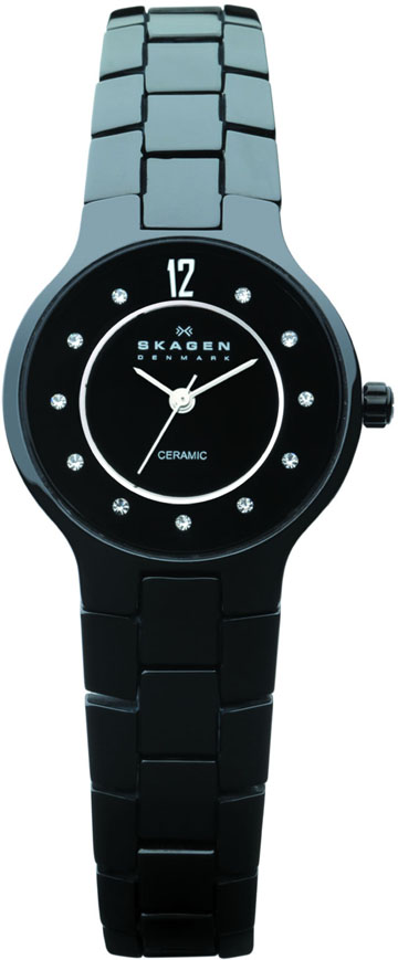 Ladies Skagen Watch 572SBXBC