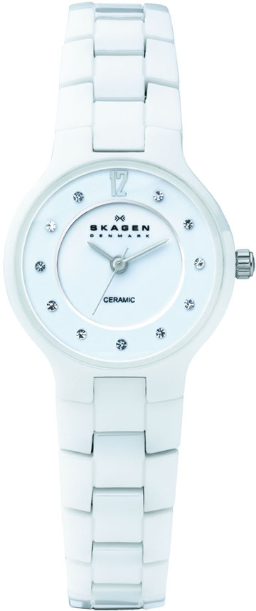 Ladies Skagen Watch 572SSXWC